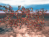 ti_beta2_icon