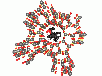 zeoalc_icon