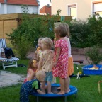 Grillen 17