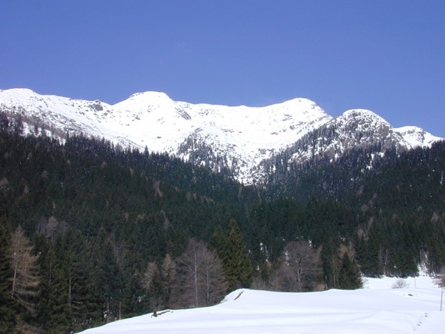 0405_013.jpg